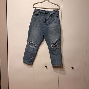 American Eagle Outfitters Blue Distressed Cropped Jeans